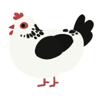 A white and black chicken with a neck-speckle pattern