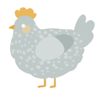 A silver chicken with a speckle pattern