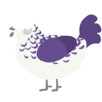 A white and overcast chicken with a half-lace pattern