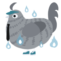 Fowler, a ash and grey chicken with a bar pattern