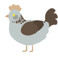 Tuya, a silver and bark chicken with a neck-speckle pattern