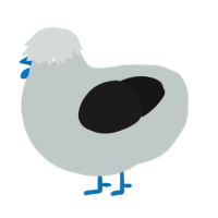A silver and sable chicken