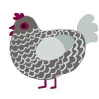 Floofy Pigeon, a grey and silver chicken with a lace pattern