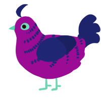A plum and navy chicken with a half-bar pattern