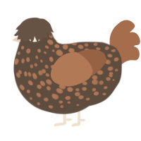 A bark and brown chicken with a speckle pattern