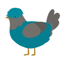A sea and grey chicken with a head pattern