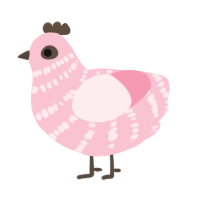 Cherry Blossom, a rose chicken with a bar pattern