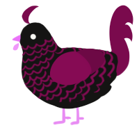 Twisted, a black and wine chicken with a lace pattern