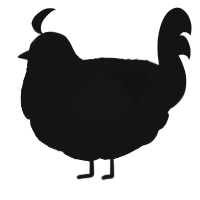 A black chicken with a lace pattern