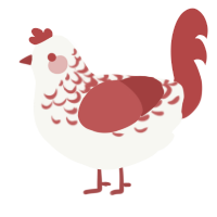 Red Lace, a white and red chicken with a half-lace pattern