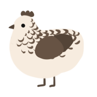 A cream and bark chicken with a half-lace pattern