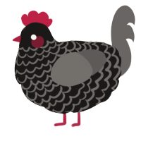 Kevin Reynolds, a sable and grey chicken with a lace pattern