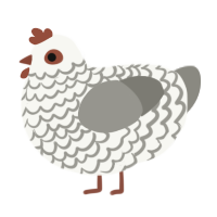 A white and ash chicken with a lace pattern