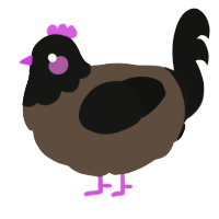 A bark and black chicken with a head pattern