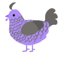 A lilac and grey chicken with a lace pattern