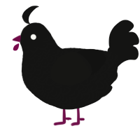 A black chicken with a double-lace pattern
