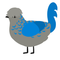 A ash and sapphire chicken with a half-lace pattern