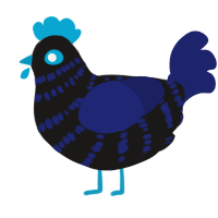A sable and navy chicken with a bar pattern