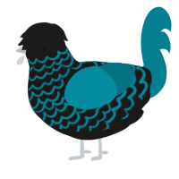 A sable and sea chicken with a lace pattern