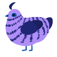 Tee, a lilac and navy chicken with a bar pattern