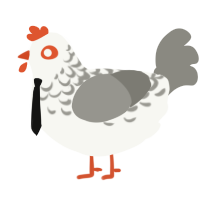 A white and ash chicken with a half-lace pattern