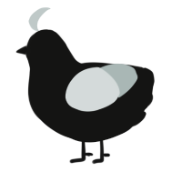 A black and silver chicken