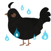 A sable and black chicken with a bar pattern