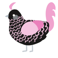 Alice, a sable and pink chicken with a lace pattern