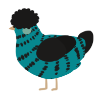 A teal and sable chicken with a bar pattern