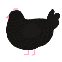 A black and sable chicken with a lace pattern