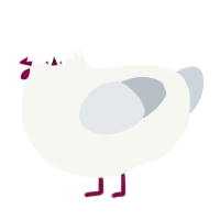 A white and mist chicken