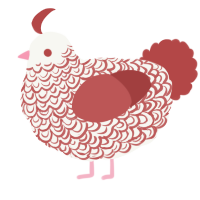 A white and red chicken with a double-lace pattern