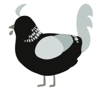 A black and silver chicken with a neck-band pattern