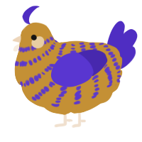 A gold and indigo chicken with a bar pattern