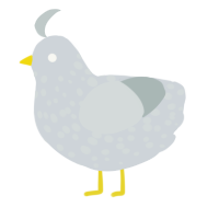 A mist and silver chicken with a speckle pattern