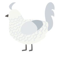 Flour, a white and mist chicken with a lace pattern
