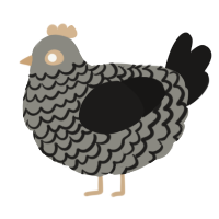 (unnamed), a ash and sable chicken with a lace pattern