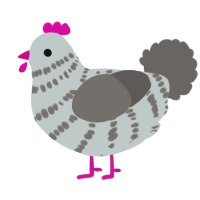 (unnamed), a silver and grey chicken with a bar pattern