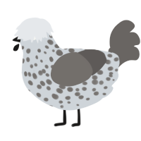 (unnamed), a mist and grey chicken with a speckle pattern