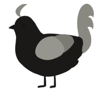 (unnamed), a sable and ash chicken