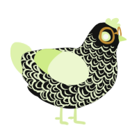 The Archivist, a black and apple chicken with a double-lace pattern