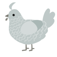 Reusable Straw, a silver chicken with a lace pattern