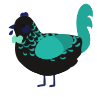 A sable and turquoise chicken with a half-lace pattern