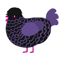 Emo Babey, a black and overcast chicken with a lace pattern