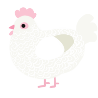 Sunday, a white chicken with a double-lace pattern