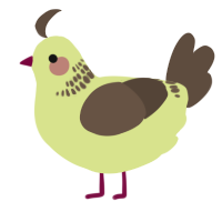 Mint-Choco Ice Cream, a lemon and bark chicken with a neck-band pattern
