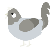 A mist and ash chicken with a head pattern