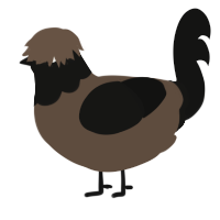 Lunnzahn, a bark and black chicken with a head pattern