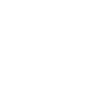 Flashbang, a white chicken with a bar pattern