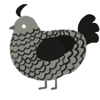 A ash and sable chicken with a lace pattern